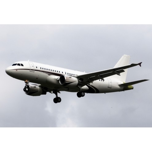 Airbus 318 Elite