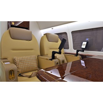 Airbus 318 Elite