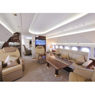 Airbus 318 Elite