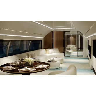 Airbus 318 Elite
