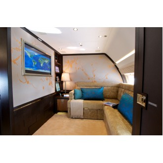 Airbus 318 Elite