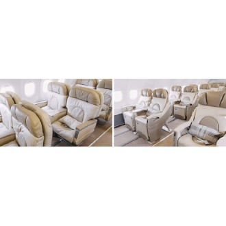 Airbus 318 Elite