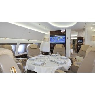 Airbus 318 Elite