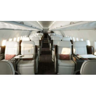 Airbus 318 Elite