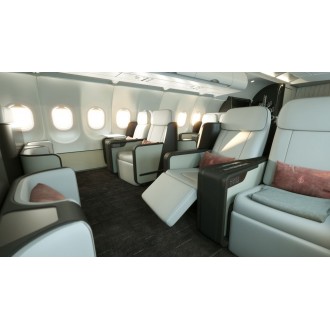 Airbus 318 Elite