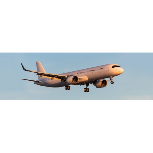 Airbus 318 Elite
