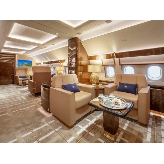 Airbus 318 Elite