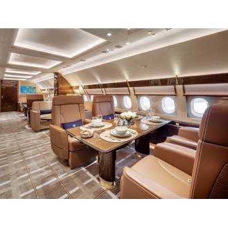 Airbus 318 Elite
