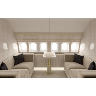 Airbus 318 Elite