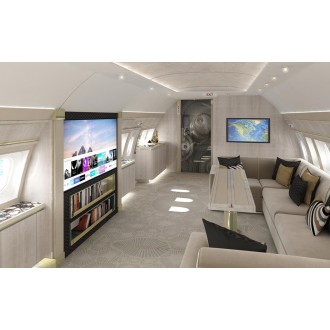Airbus 318 Elite