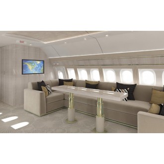 Airbus 318 Elite