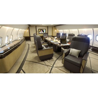 Airbus 318 Elite