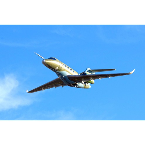 Airbus 318 Elite