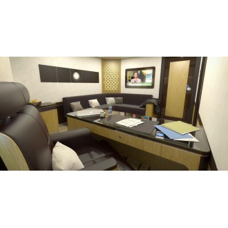Airbus 318 Elite