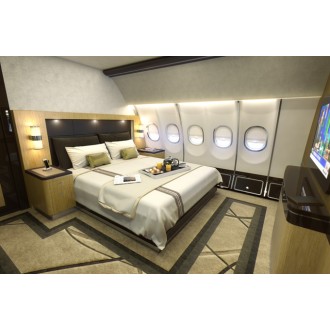 Airbus 318 Elite