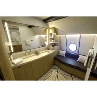 Airbus 318 Elite