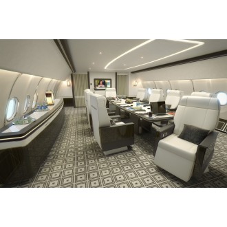 Airbus 318 Elite