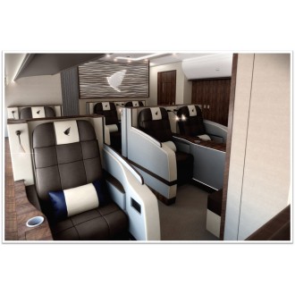 Airbus 318 Elite