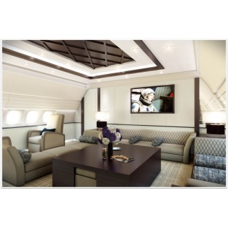 Airbus 318 Elite