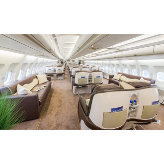Airbus 318 Elite