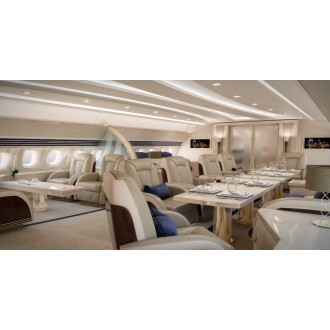 Airbus 318 Elite