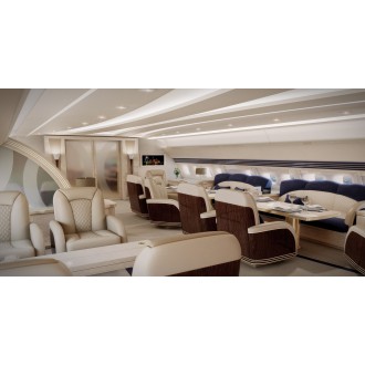 Airbus 318 Elite