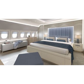 Airbus 318 Elite