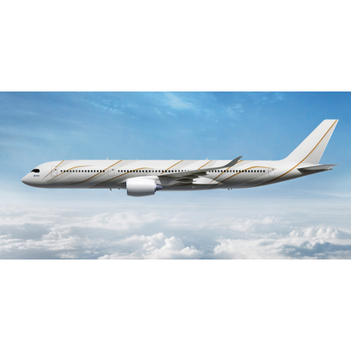 Airbus 318 Elite