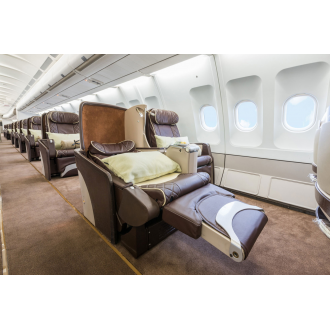 Airbus 318 Elite