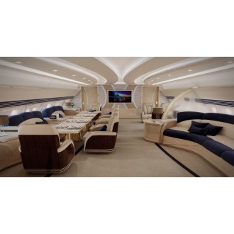 Airbus 318 Elite