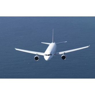 Airbus 318 Elite