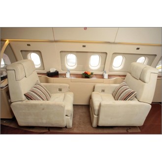 Airbus 318 Elite