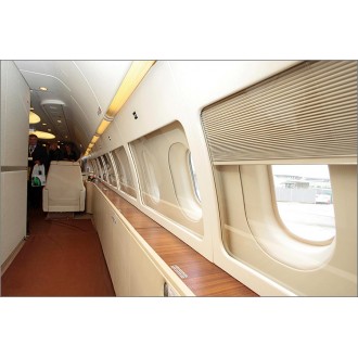 Airbus 318 Elite