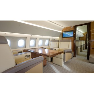 Airbus 318 Elite