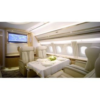 Airbus 318 Elite