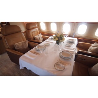 Airbus 318 Elite