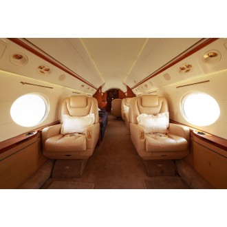 Gulfstream G300