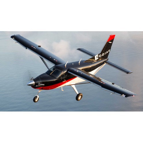 Quest Kodiak 100